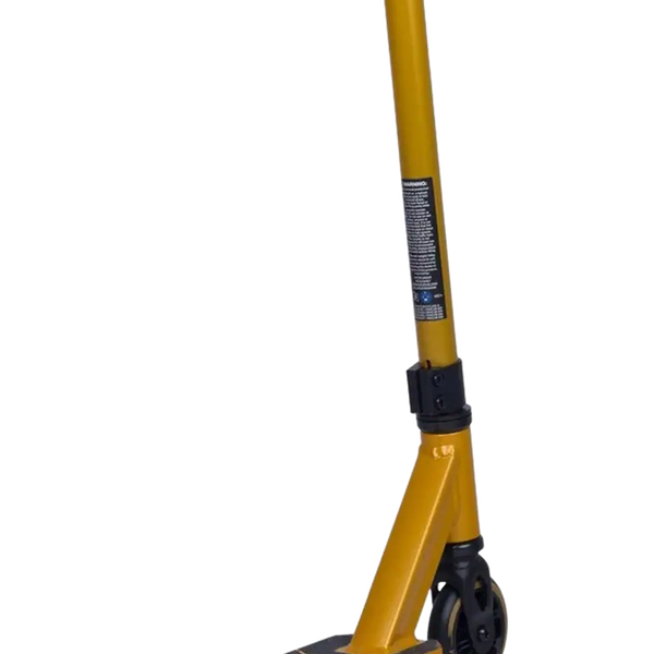 Panda 2025 V2 Club Goud 70cm
