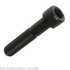 Socket head cap screw M8x100-0